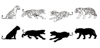 Tiger Line Art 17586847 Vector Art at Vecteezy