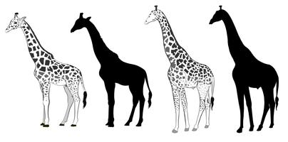 Giraffe silhouette vector