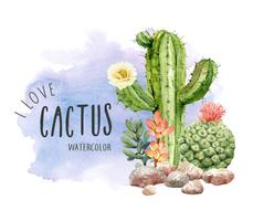 Watercolor Cactus and Succulent with rock for Invitation card. vector