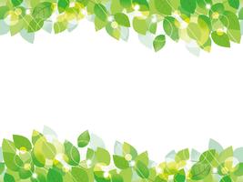 Seamless green leaves background. vector