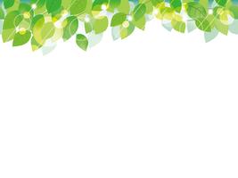 Seamless green leaves background. vector