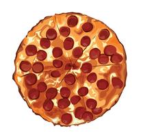 the pizza cartoon  vector