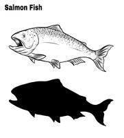 Arte de salmón altamente detallado en el estilo de arte de línea. vector