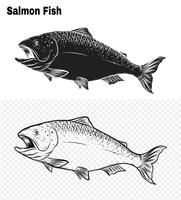 Salmon art highly detailed in line art style vector