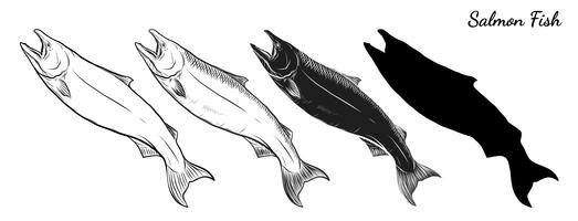 Dibujo vectorial de salmón a mano. vector