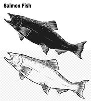 Salmon art highly detailed in line art style vector