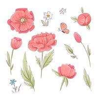 Set of red poppies and daisies. Hand drawing. Vector illustration