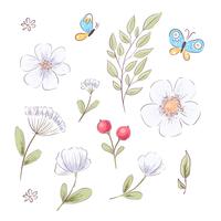 Set of wildflowers and butterflies. Hand drawing. Vector illustration
