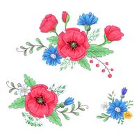 Set of red poppies and daisies. Hand drawing. Vector illustration