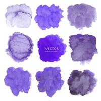 Sistema de acuarela púrpura en el fondo blanco, acuarela del movimiento del cepillo, ejemplo del vector. vector