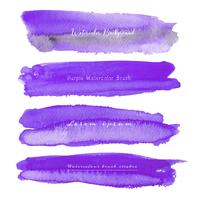 Set of purple watercolor on white background, Brush stroke watercolor, Vector illustration.