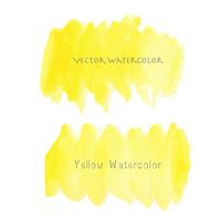 Yellow brush stroke watercolor on white background. Vector illustration.