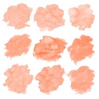 Orange watercolor set on white background, Vector illustration.	