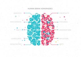 Human Brain Hemispheres Vol 3 Vector