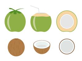Ilustración vectorial de coco fresco conjunto aislado sobre fondo blanco