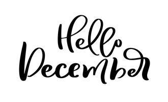 Hola diciembre mano dibujado texto de letras decorativas en aislado sobre fondo blanco para el calendario, planificador, diario, decoración, etiqueta, cartel vector