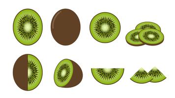 Set of fresh kiwi fruit isolated on white background - Vector illustration