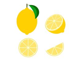 Conjunto aislado de vector de fruta de limón fresco sobre fondo blanco - ilustración vectorial