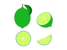  Fresh lime set isolated on white background - Vector illustration