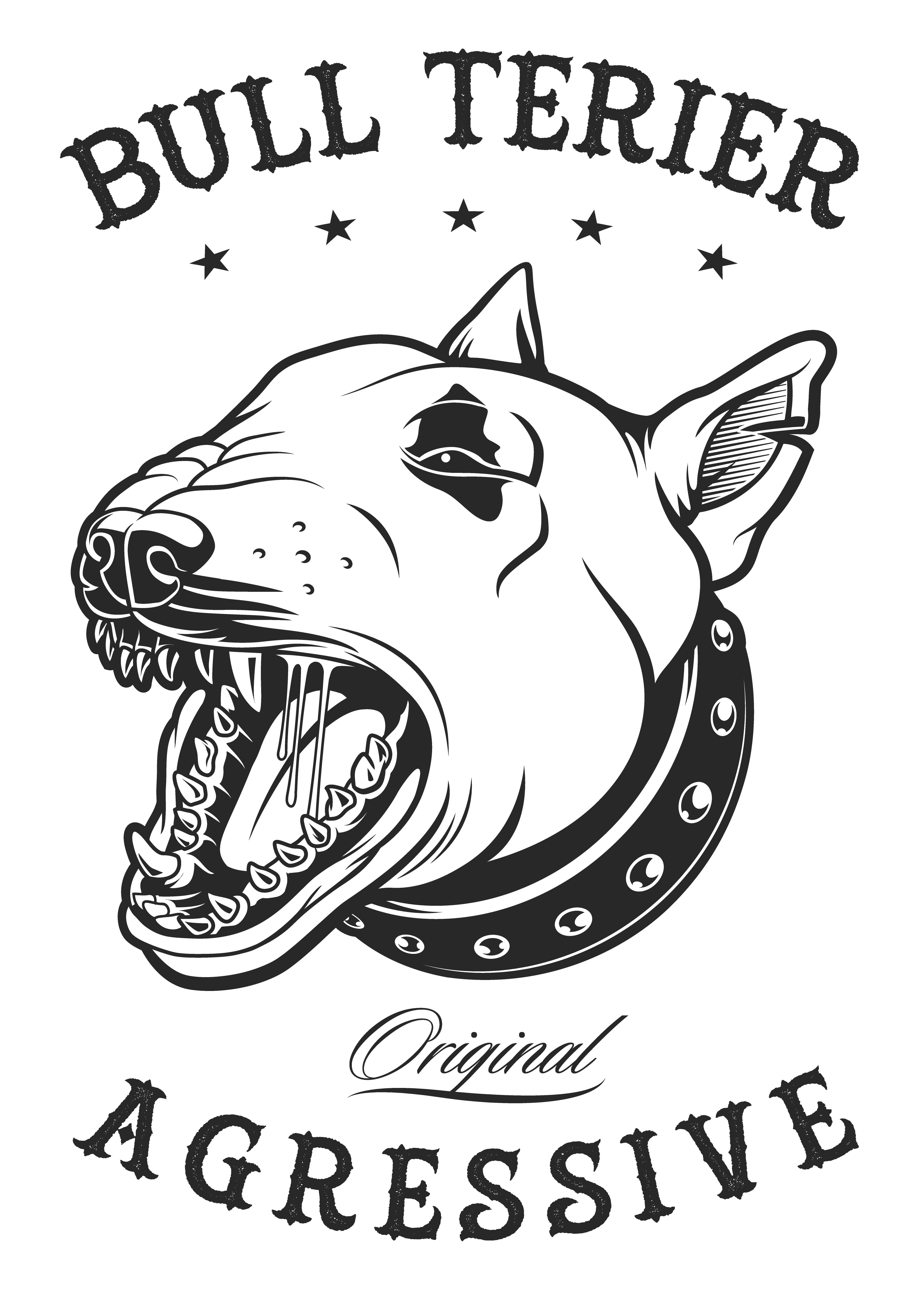 Bull Terrier Vector Illustration Download Free Vectors Clipart