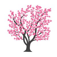 Cherry blossom Tree in Vector illustration