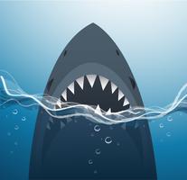 shark in the blue sea background vector illustration 