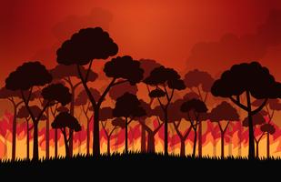 Incendios forestales quemando árboles en llamas de fuego - ilustración vectorial vector