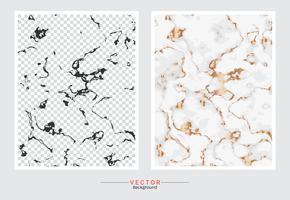 Gold marble cover background. vector
