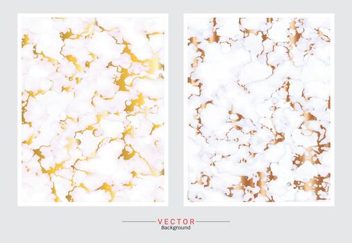 Gold marble cover background. vector
