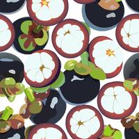 Mangosteen vector art seamless background.