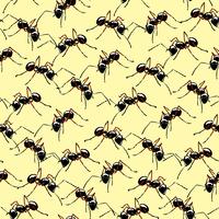 Macro realistic ants seamless background. vector