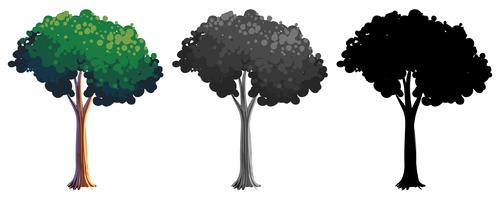 Set of isolated tree vector