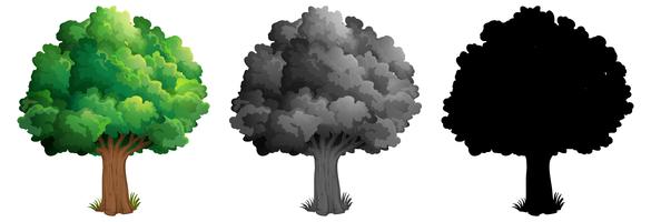Set of tree design vector