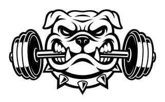 Black and white illustration of a bulldog with dumbbell vector