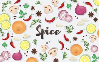 spice and vegetable foods background  vector