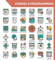 Codificación y Programación vector