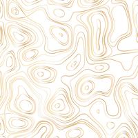 Abstract gold line waves design on white background - Vector Illustration