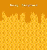 Vector honey drip on honeycombs background 