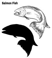Fish vector by hand drawing