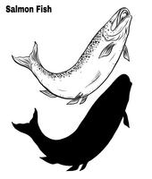 Fish vector by hand drawing.