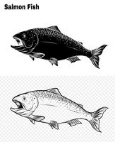 Fish vector by hand drawing.