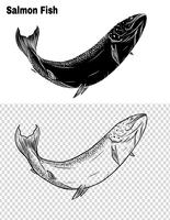 Fish vector by hand drawing