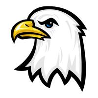 Eagle Cartoon Head vector