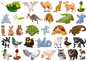 Conjunto de animal salvaje vector