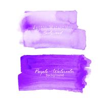 Purple brush stroke watercolor on white background. Vector illustration.