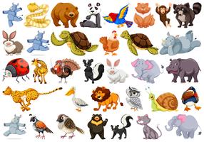 Conjunto de diferentes animales vector