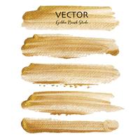 Golden vector brush stroke, Gold texture paint stain, Vector illustration.