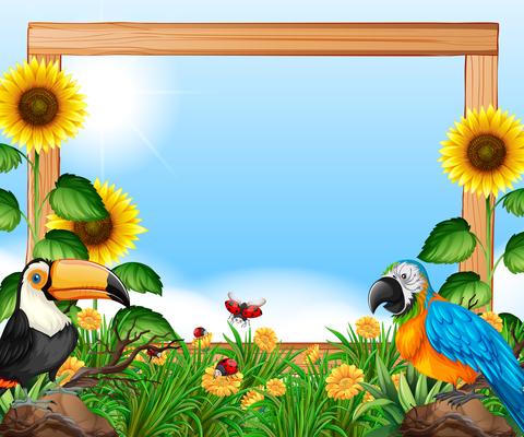 Birds on nature wooden frame