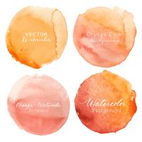 Orange watercolor circle set on white background. Vector illustration.