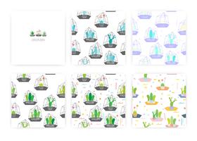 Set of seamless pattern with cactuses In glass terrariums. Background Illustrations for gift wrap design. vector